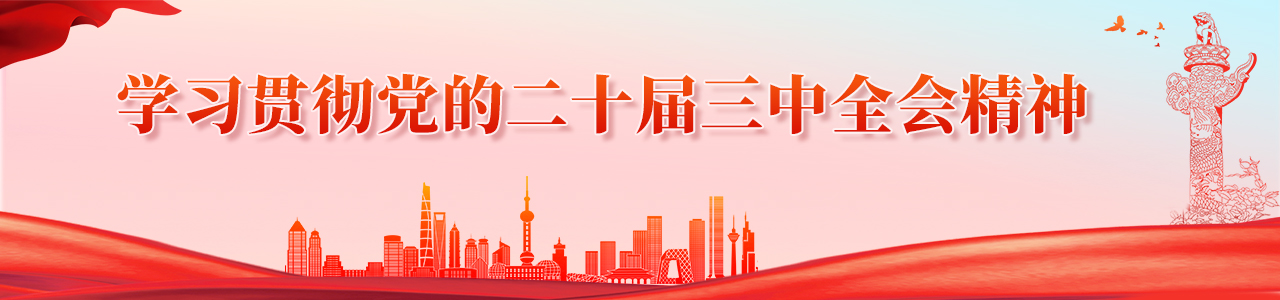 學習貫徹黨的二十屆三中全會精神